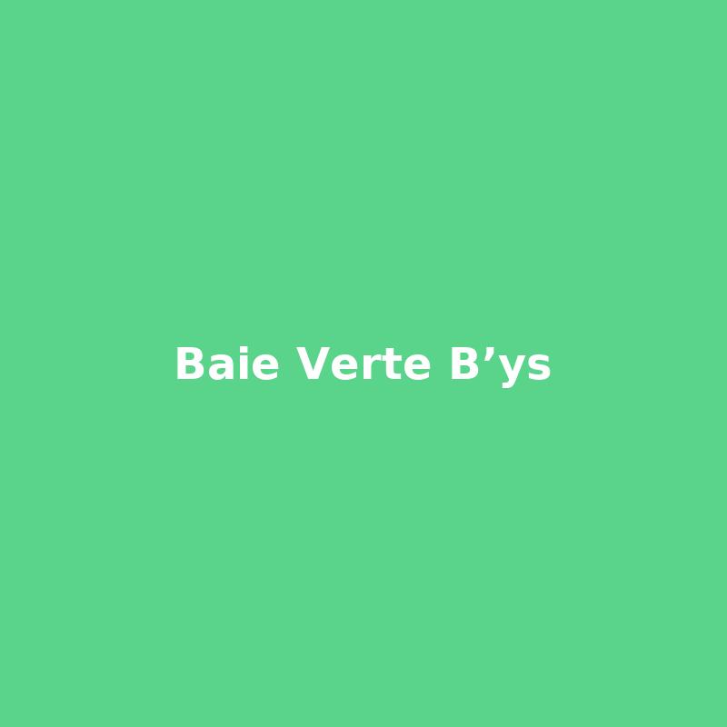 baie-verte-b-ys cover
